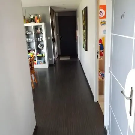 Le Paradis Des Enfants Et Sa Maison En Bois Holiday home Combrit
